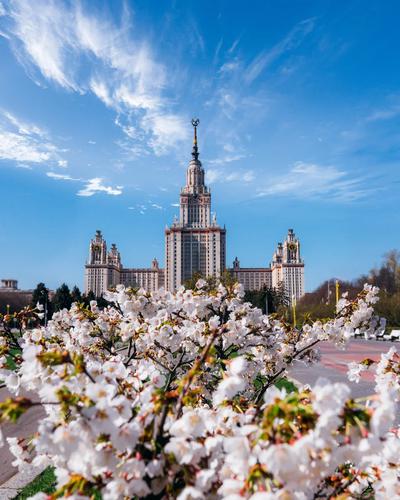 Весенний парад: встречаем Первомай в столице