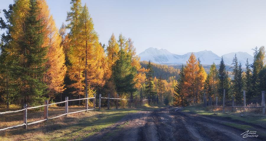 Автобус| В Белокуриху!