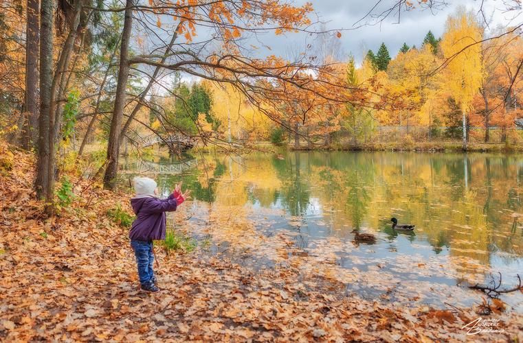 Таруса в тени деревьев и свете ламп