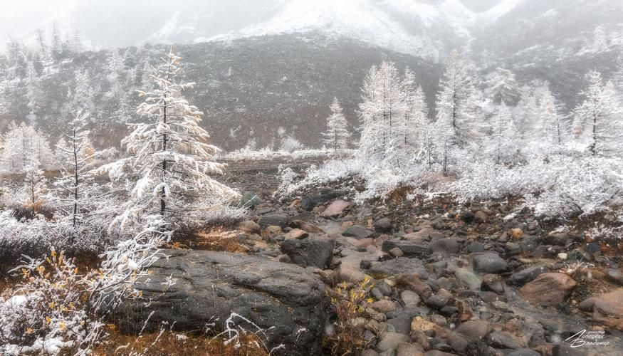 Сказочный Алтай — путешествие мечты