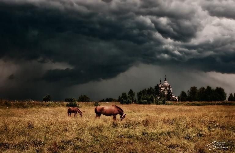 Автобус| Удмуртия на майские праздники из Екатеринбурга