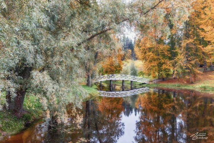 Там, где уют — не интерьер, а состояние души