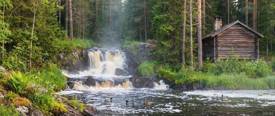 Автобус| Сияние северных озёр