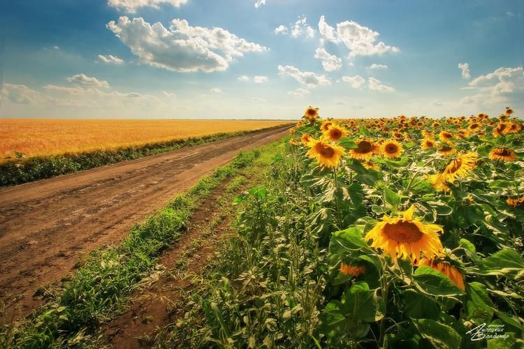 Автобус| Где море поёт, а пузырьки — шепчут сказки из Нижнего Новгорода