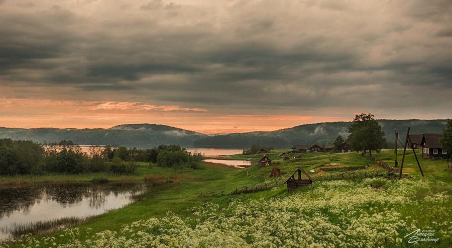 Пасека Романовых