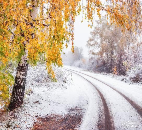 Новогодние каникулы в Лермонтовских местах 6 дней (промо)