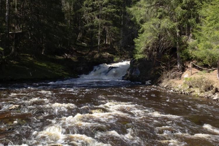 Карелия: где каждый узор на дереве