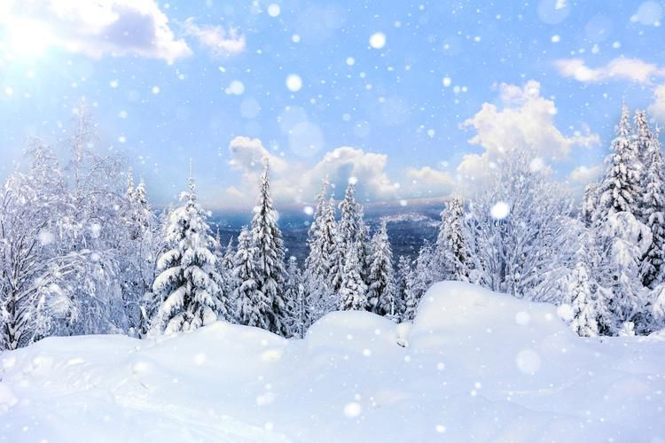 Сосновый Бор в Новый год