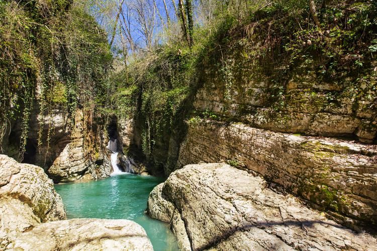 Автобус| Где море поёт, а пузырьки — шепчут сказки из Воронежа