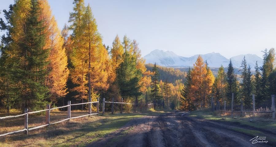 Автобус| Марс + Каменные грибы