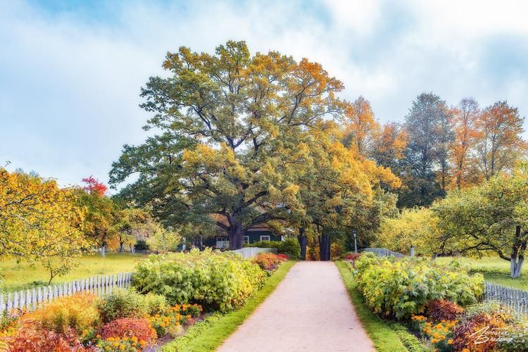 Эхо веков и голос поэта: тур по Псковской земле