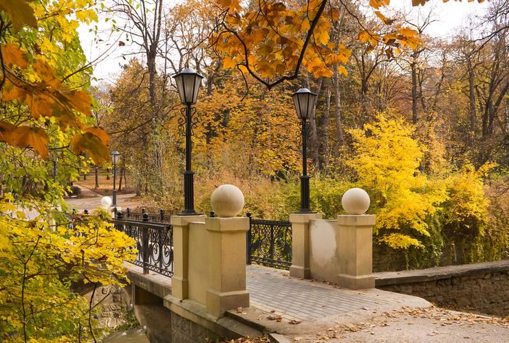 Цветение маков в Астрахани — море красного в сердце степи