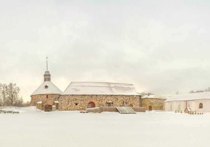 Автобус| Сказка для всей семьи: хаски и карельский Дед Мороз ждут в гости!