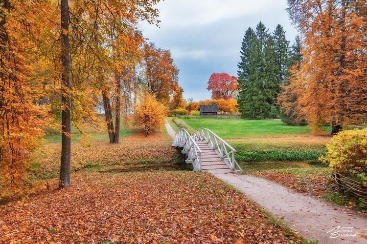 Автобус| Каникулы в Омске